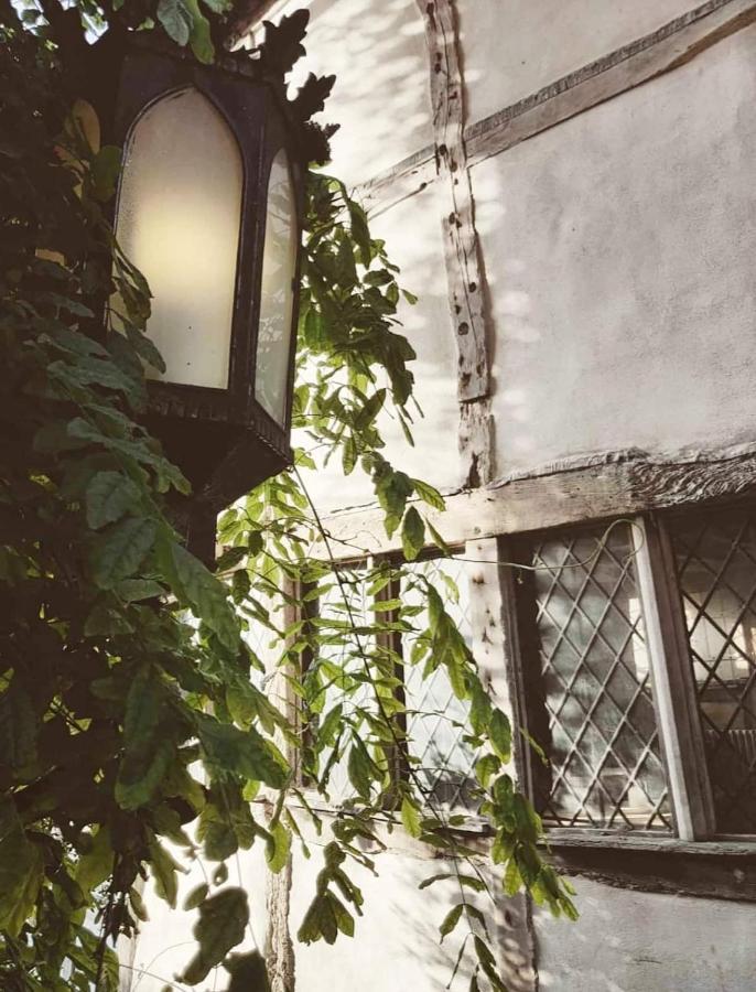 Hotel Roselina Hastings Exterior foto